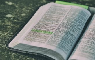 Bible study highlighter image