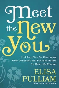 Meet the New You book cover